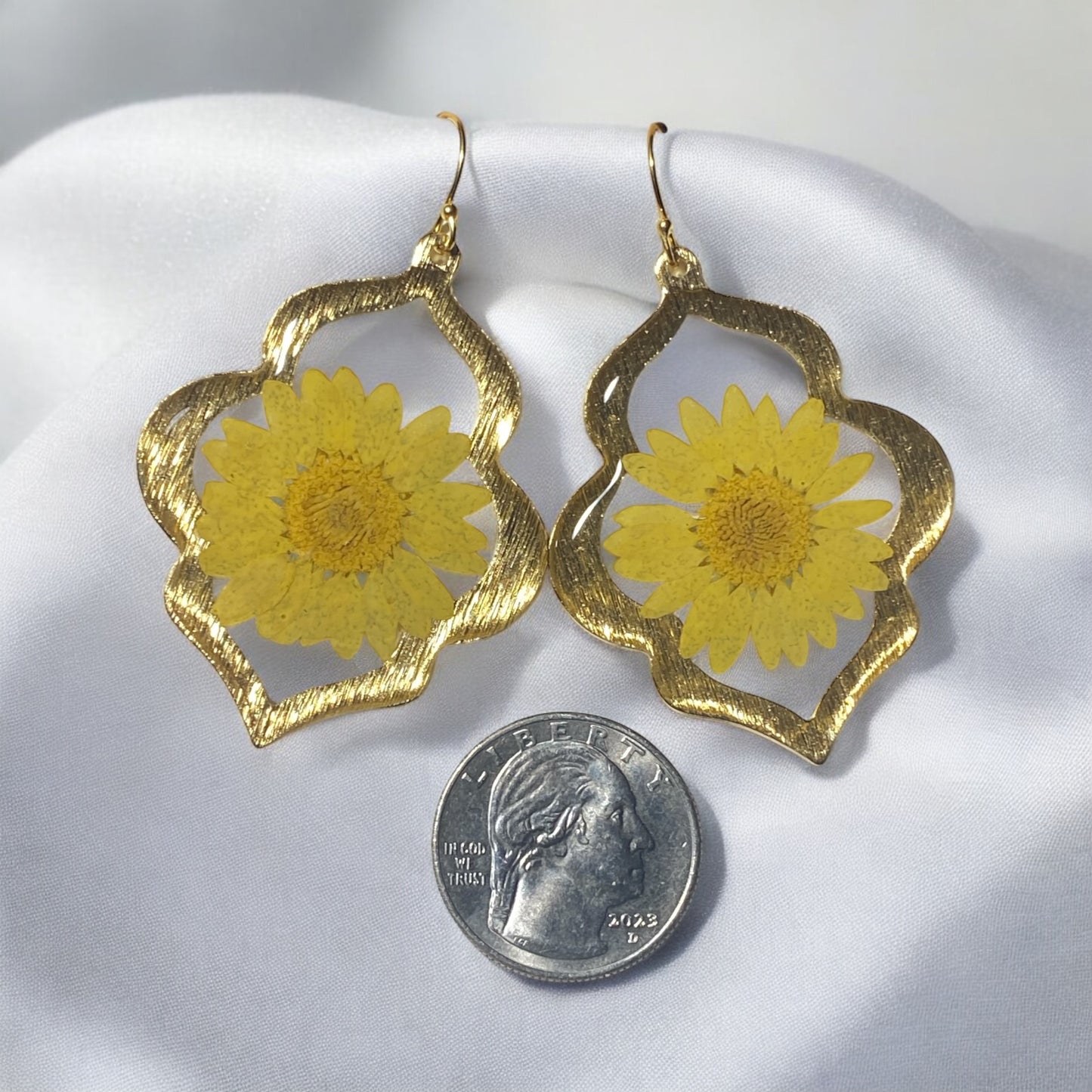 Yellow Daisies