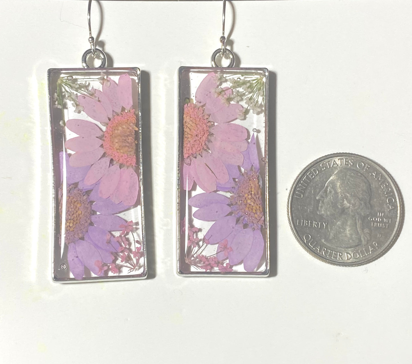 Split Pink and Purple Daisies with Pink and White Queen Anne’s Lace