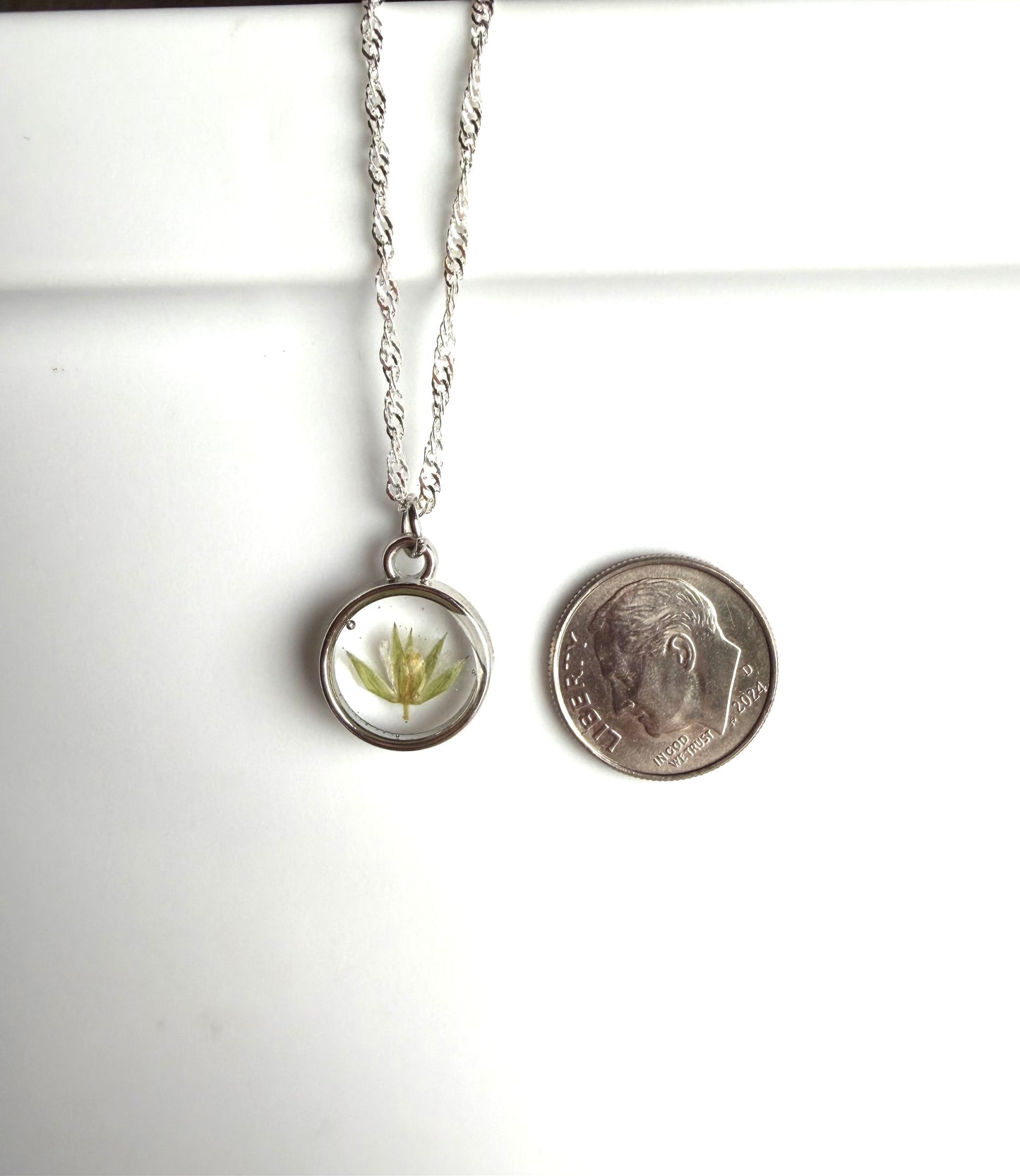 Dry Pressed Wild Flower