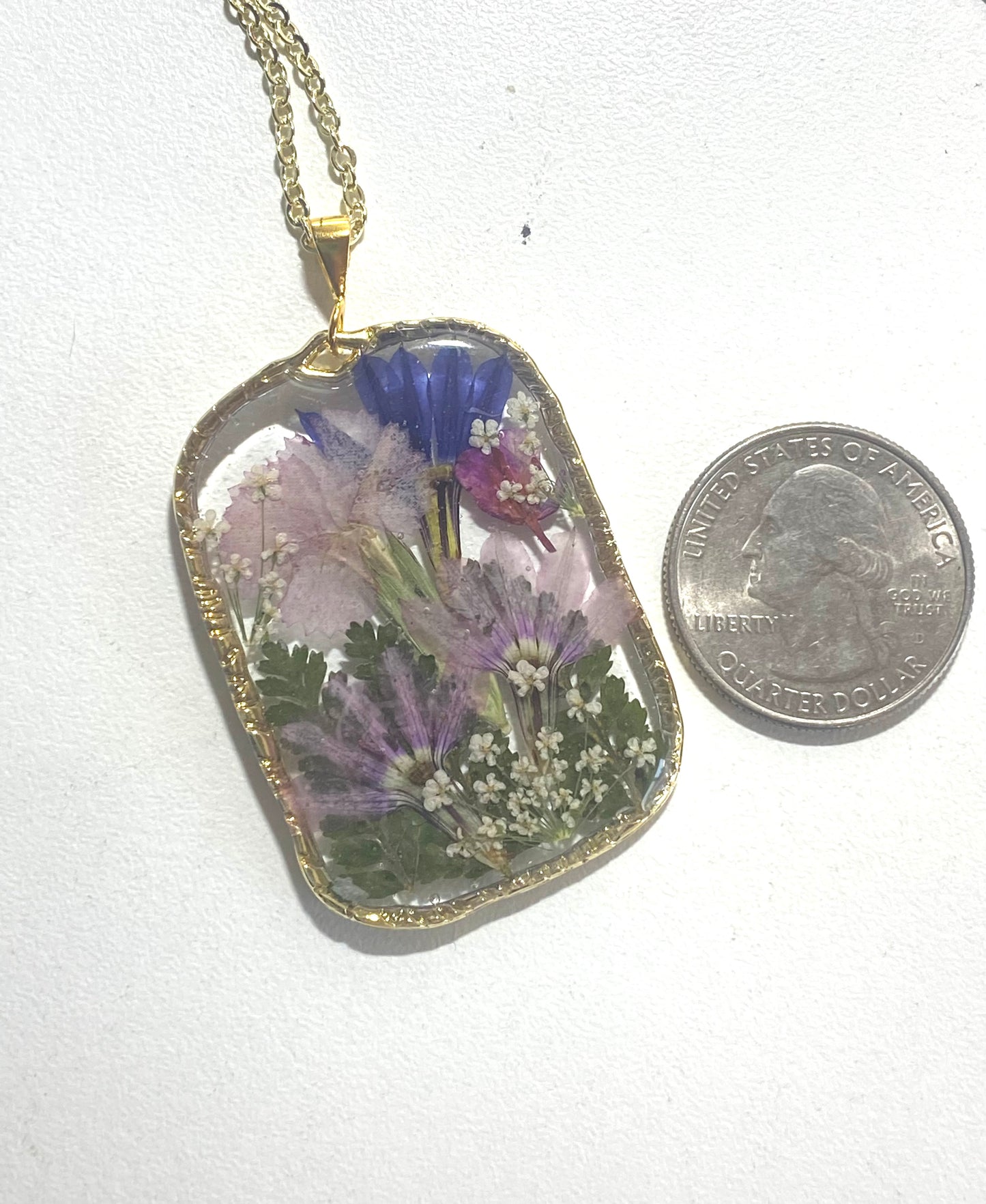 Dry Pressed Fern, Carnation, Blue Fairy Fan, Rapeseed and Queen Anne’s Lace