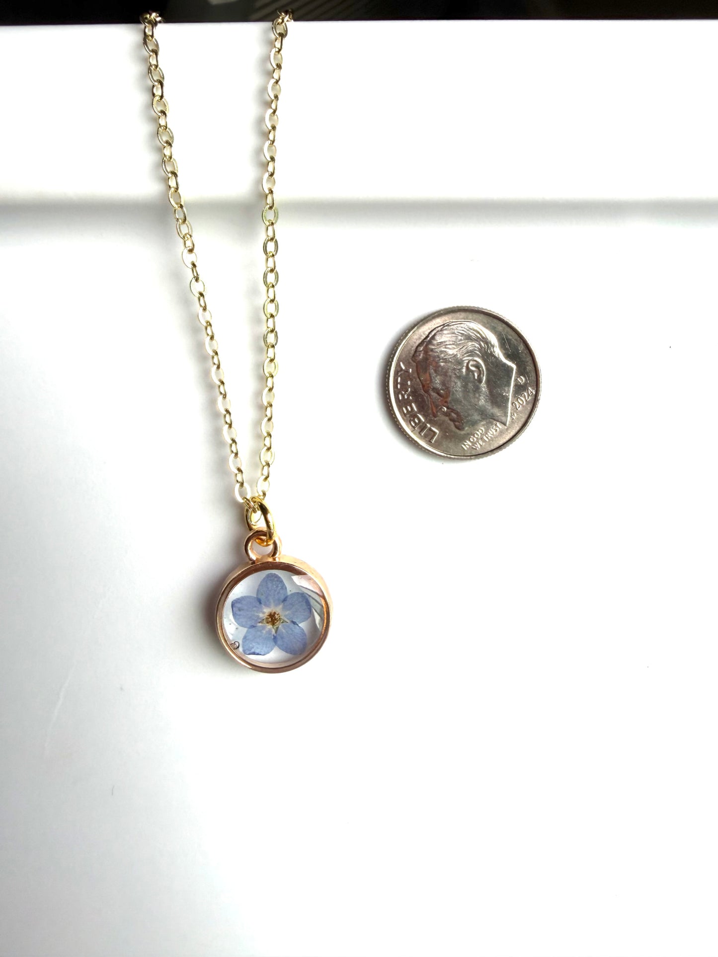 Single Forget-Me-Not