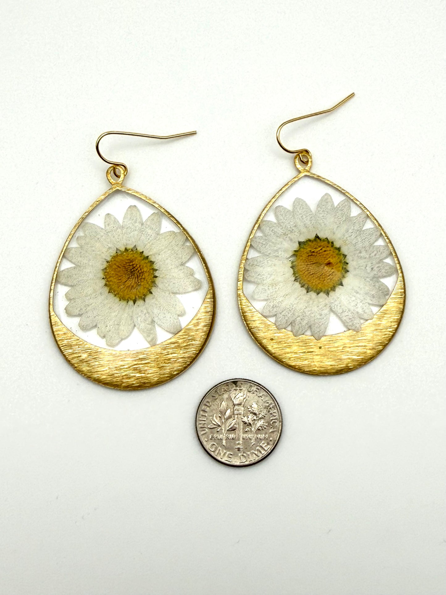Daisies