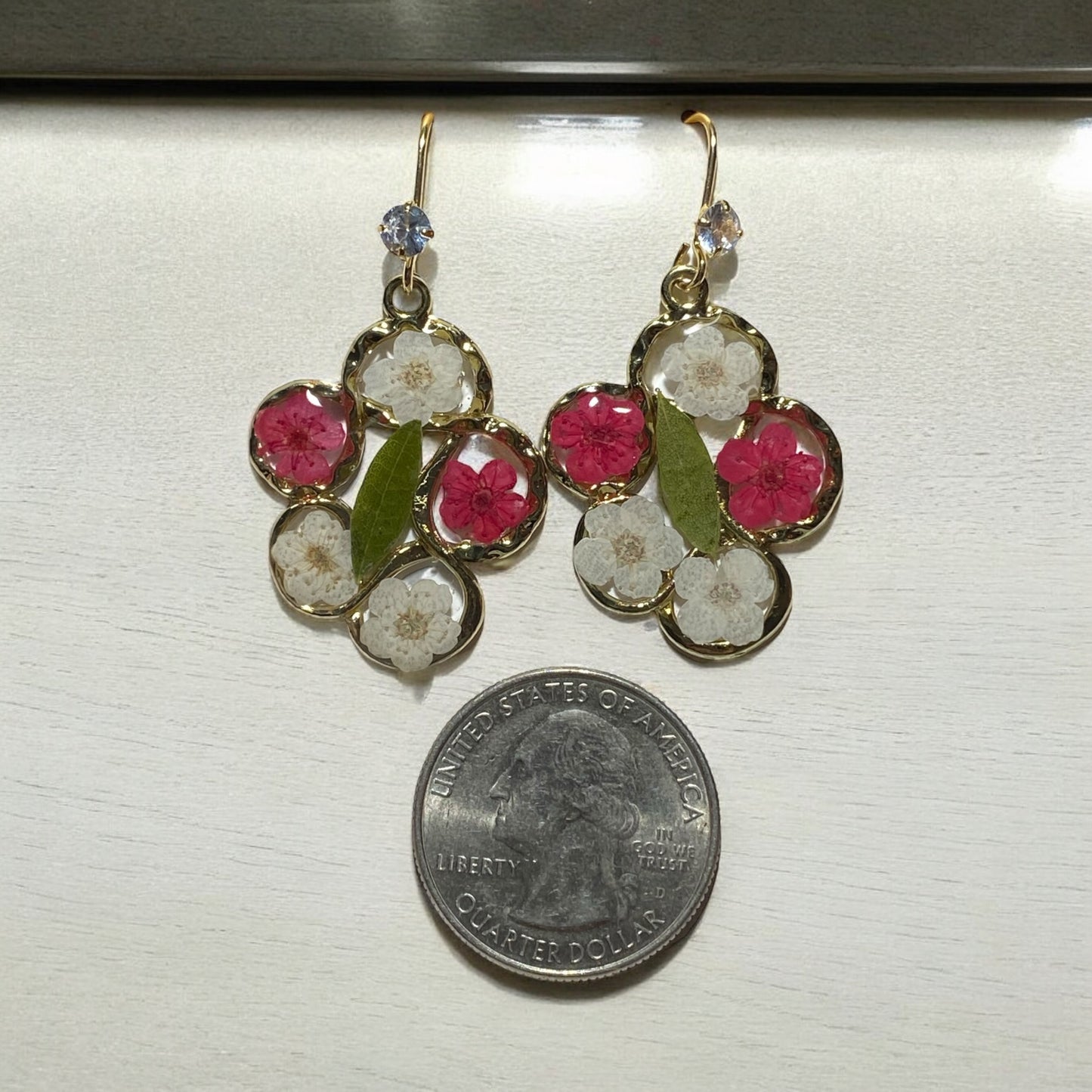 Red and White Plum Blossoms with Dry Pressed Leaves