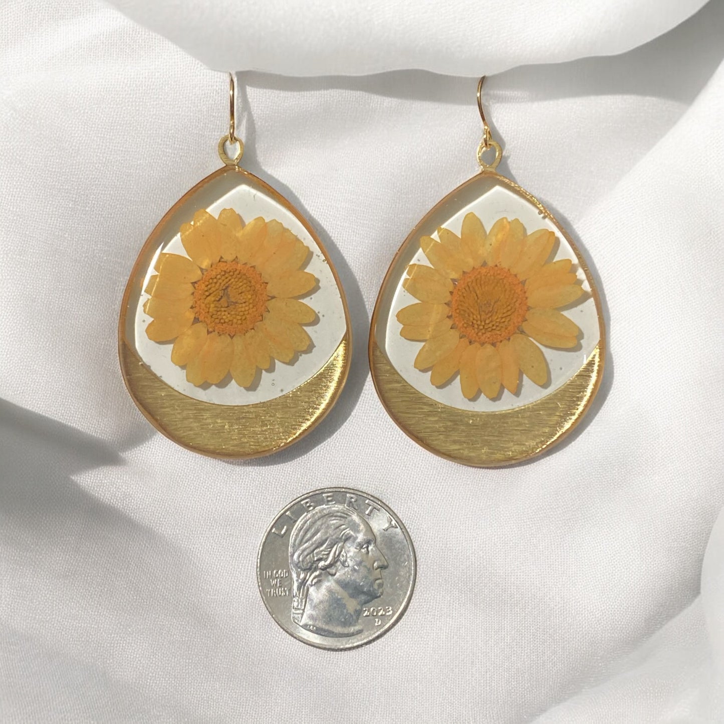 Orange Daisies