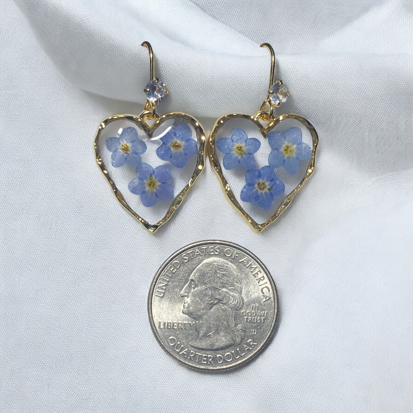 Blue Forget-Me-Not’s