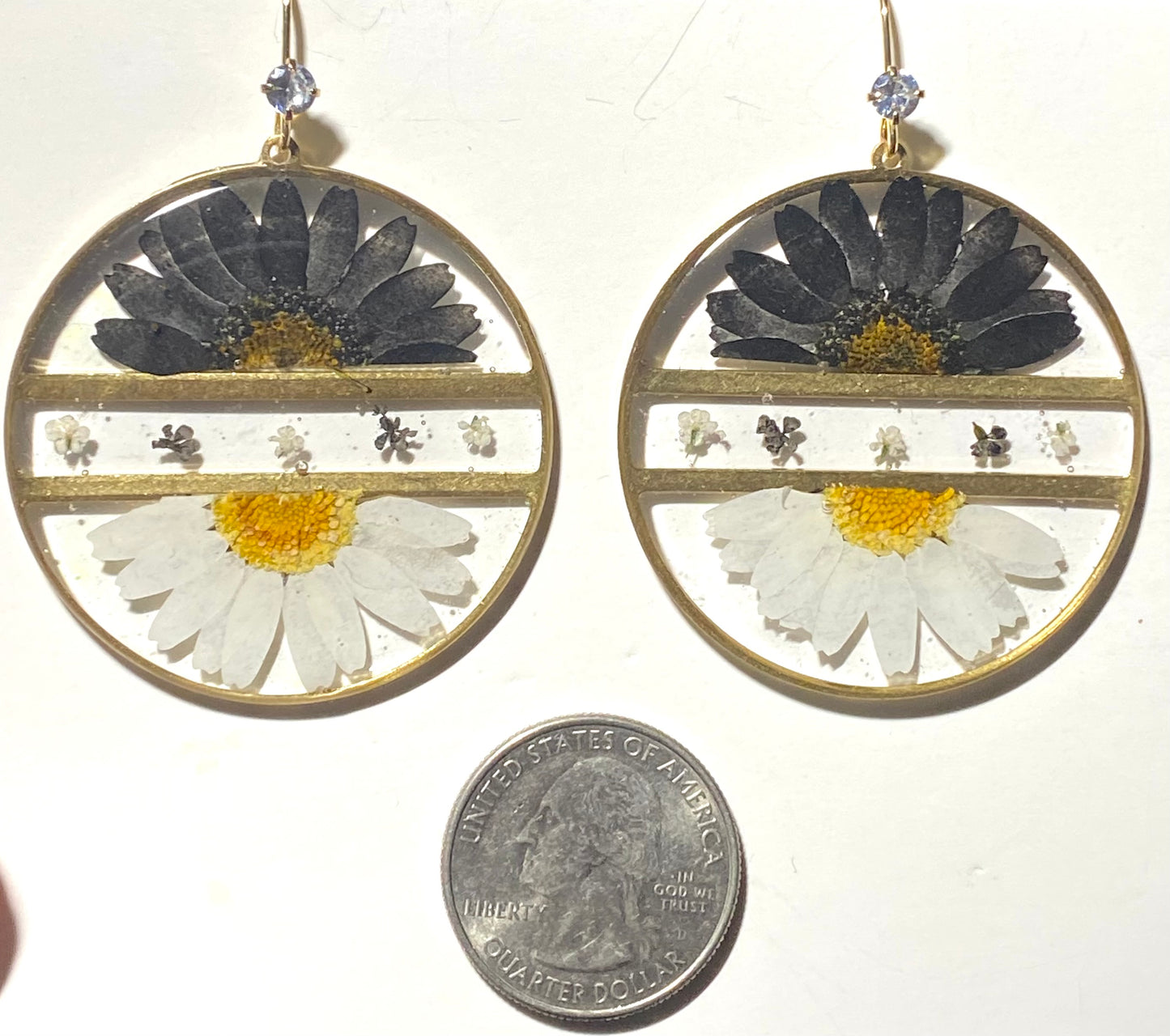 Split Black and White Daisies with pieces of White and Black Queen Anne’s Lace