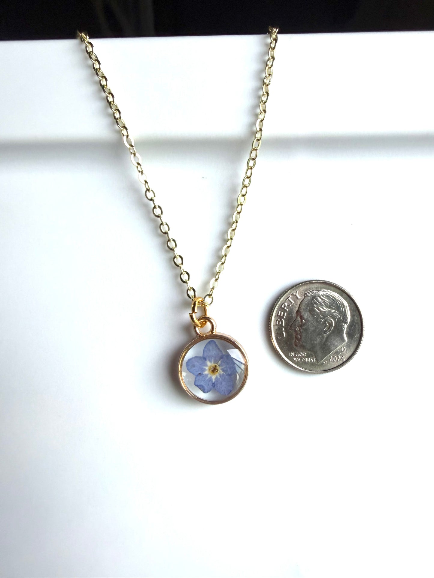 Single Forget-Me-Not