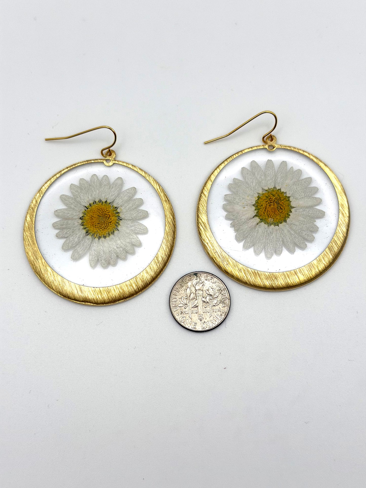Daisies