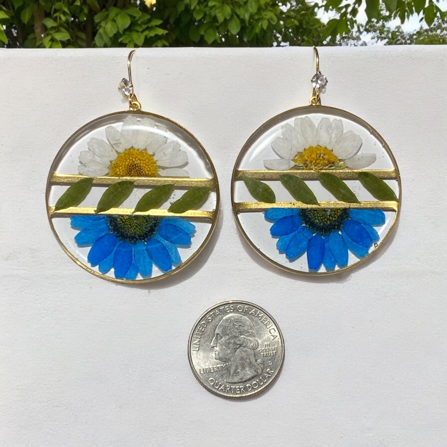 Split Blue and White Daisies with Green Leaves