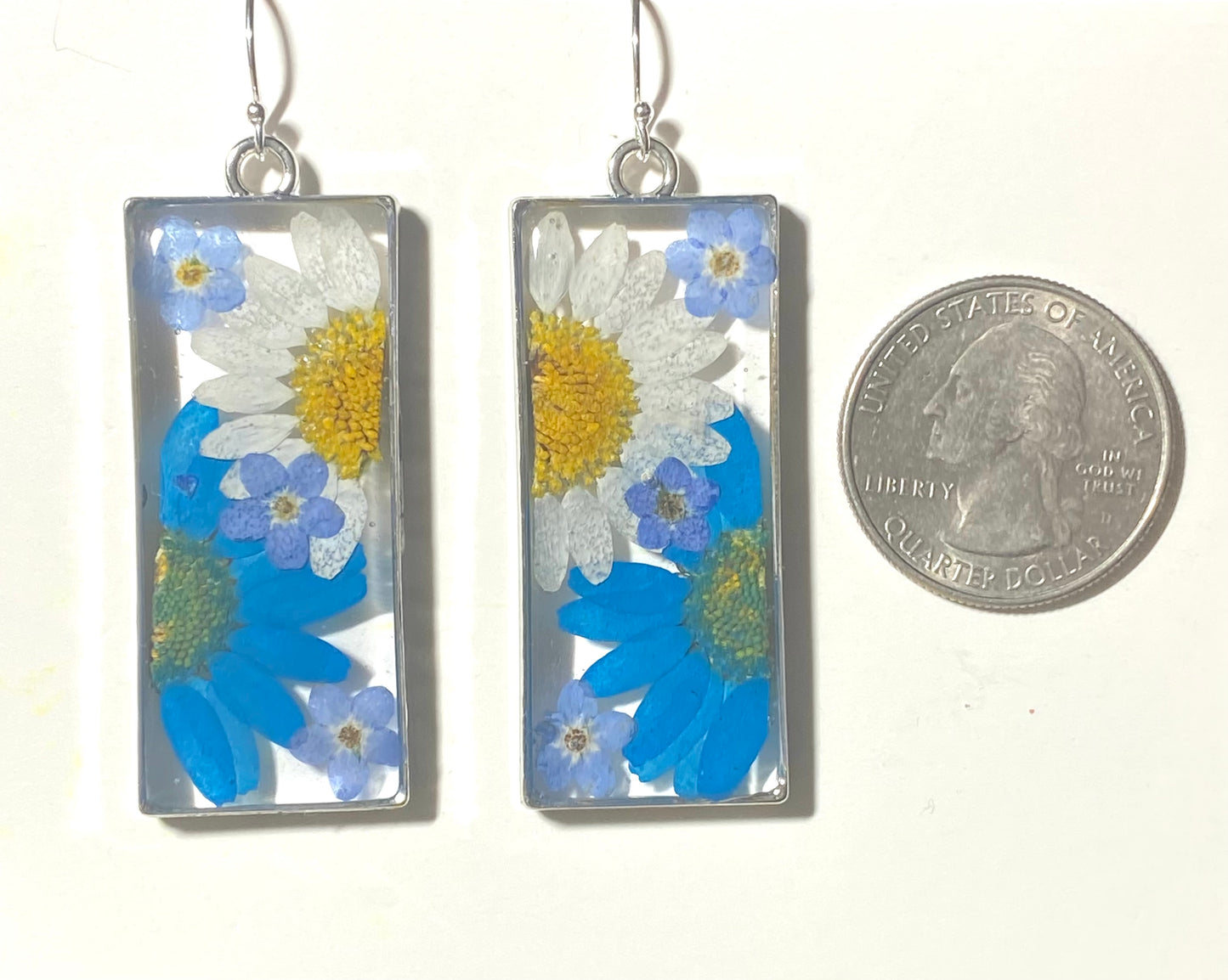 Split Blue and White Daisies with Blue Forget-Me-Nots