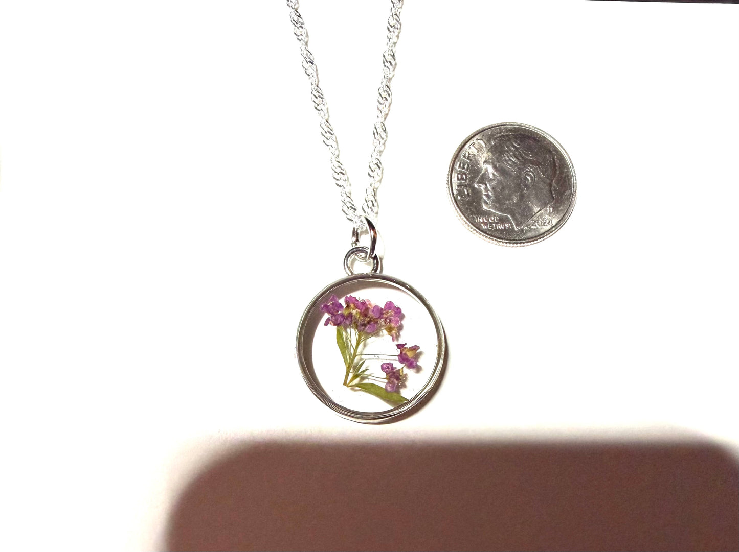 Pink Alyssum