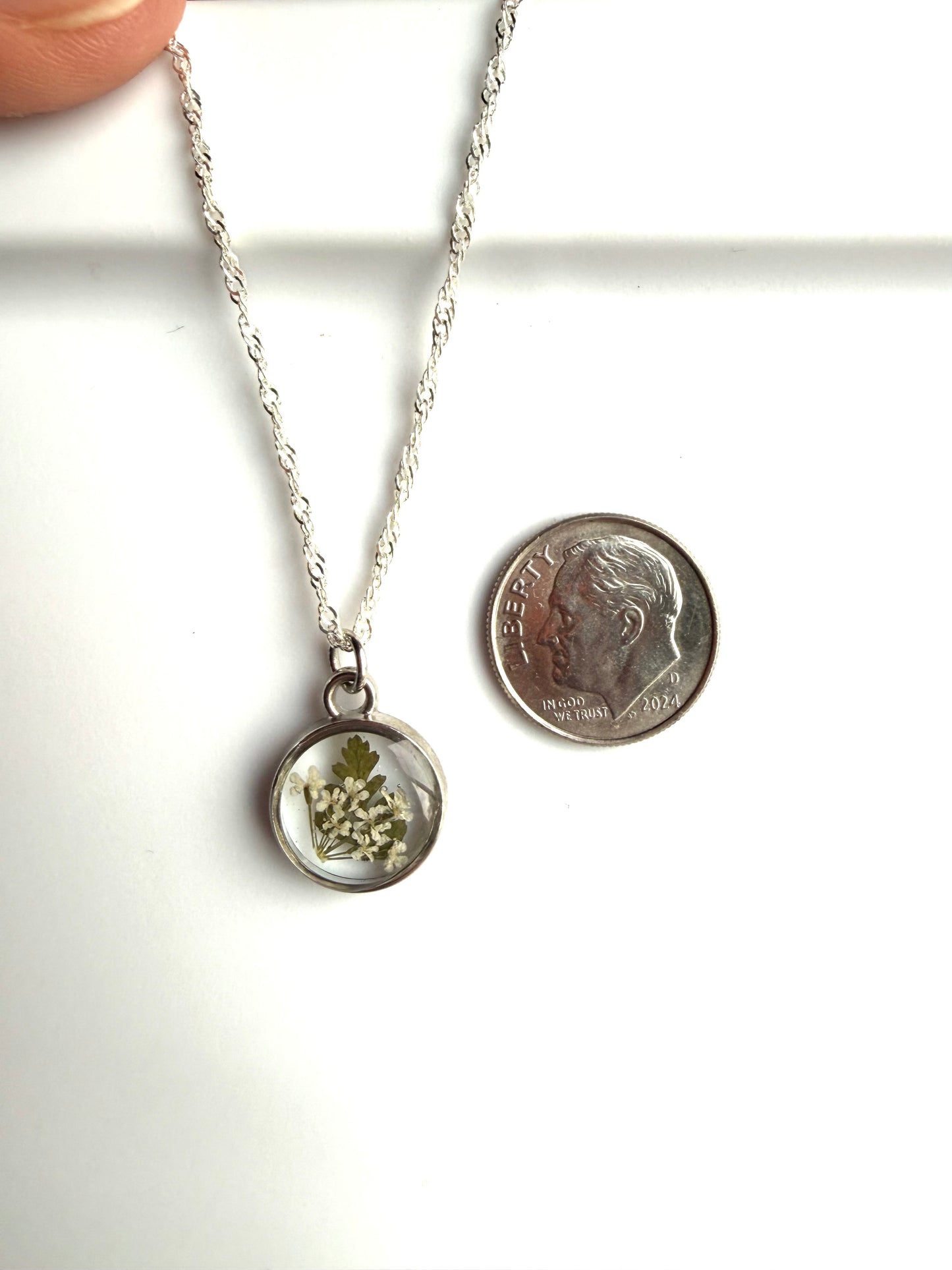 Dry Pressed Fern and Queen Anne’s Lace
