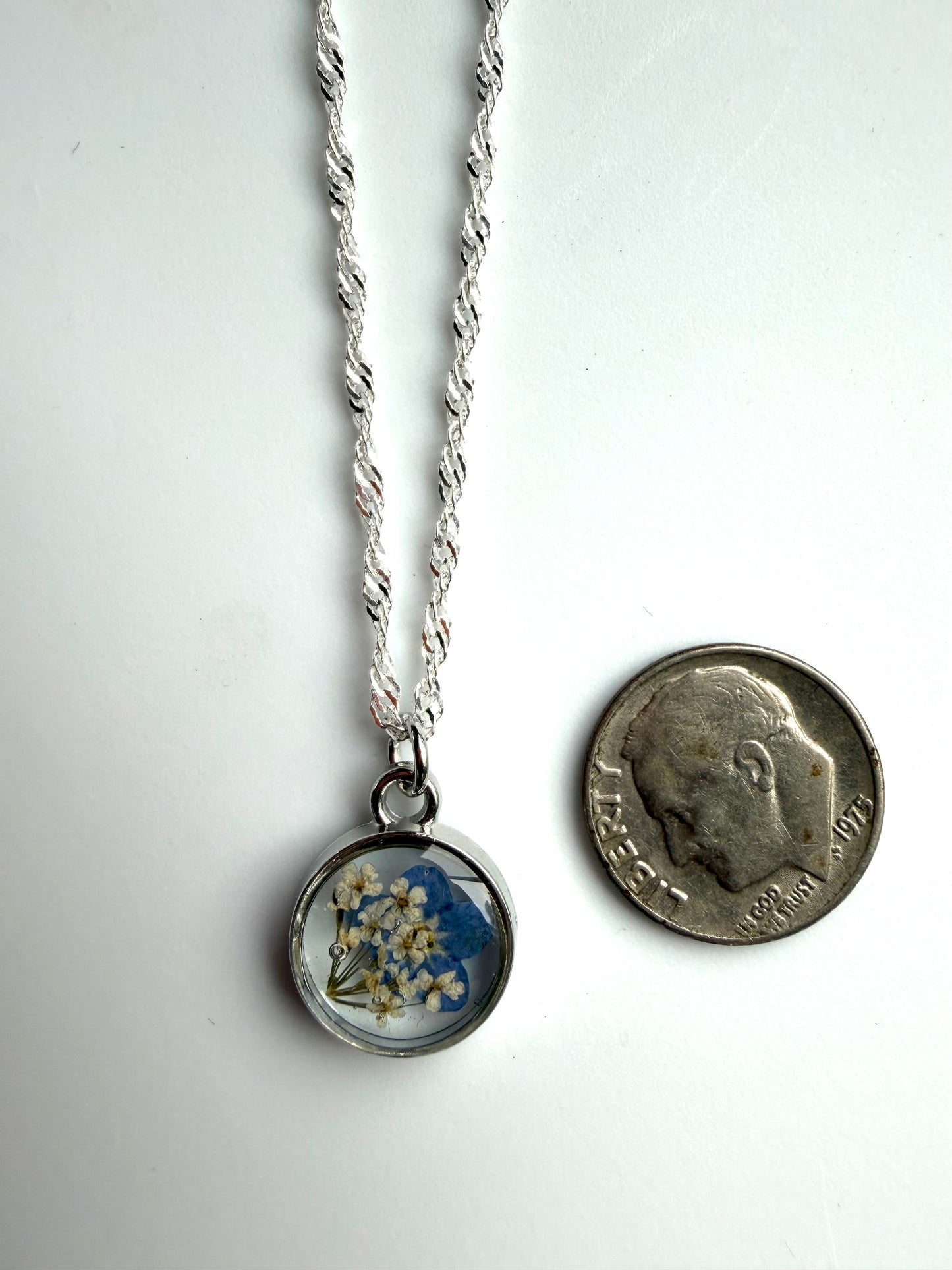Single Forget-Me-Not and Queen Anne’s Lace