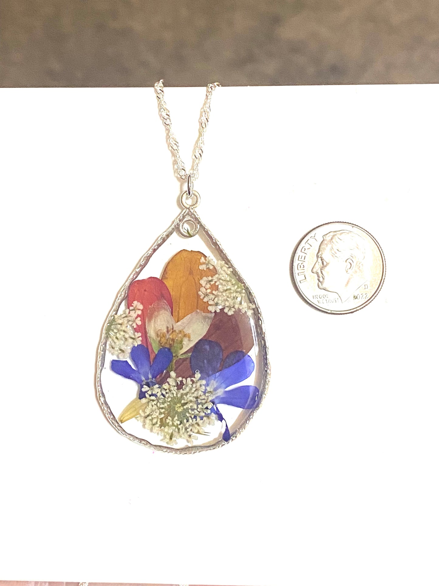 Flower Petals, Lobelia, and Queen Anne’s Lace