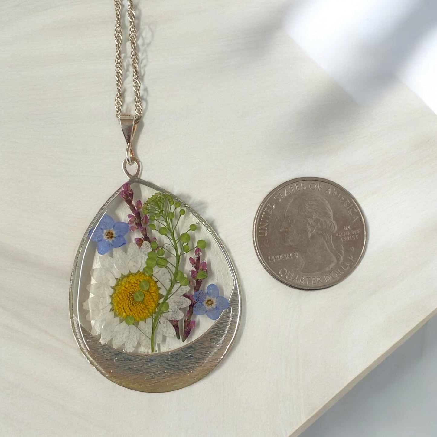 Daisy, Blue Forget-Me-Nots, Pepperweed and Snakeweed