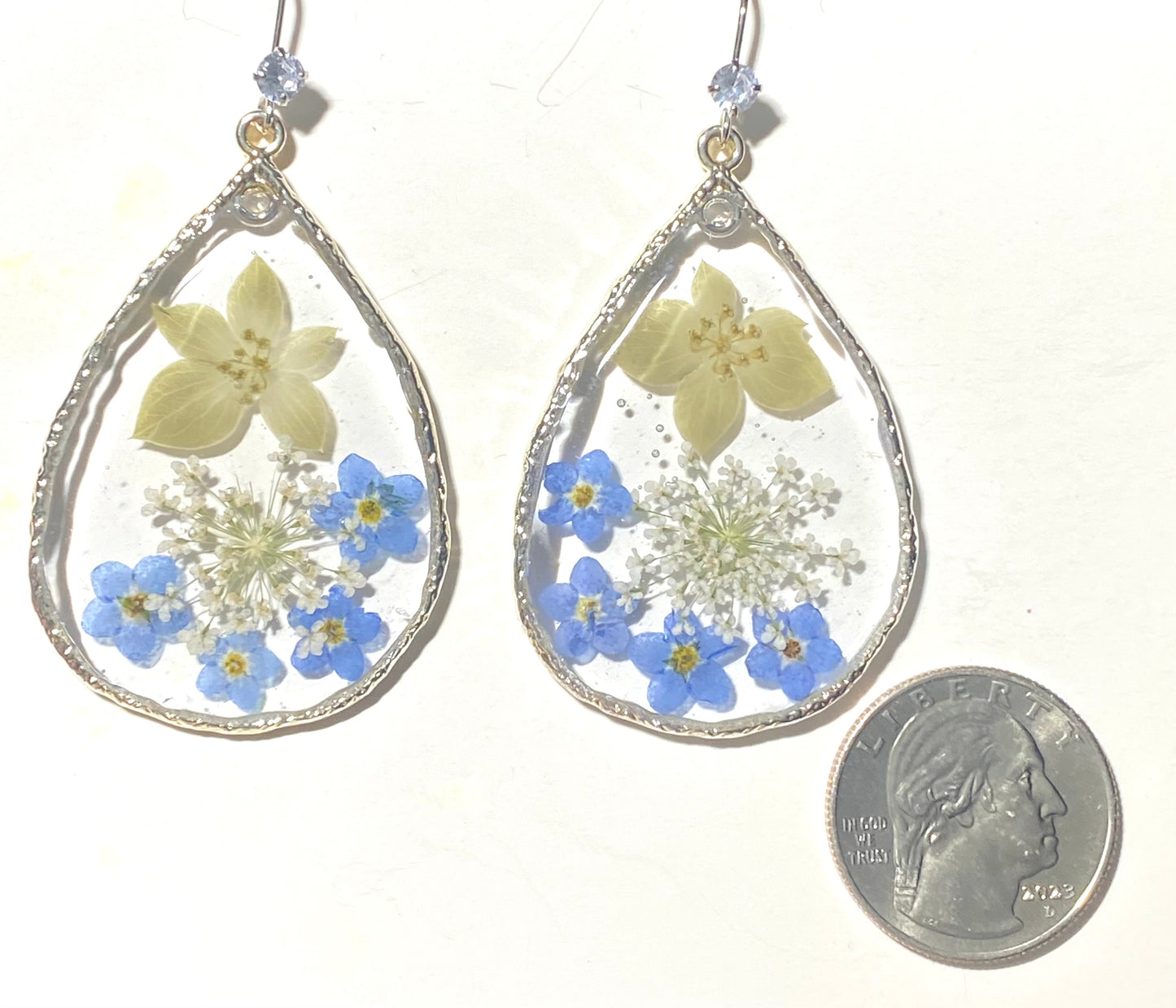 Blue Forget-Me-Nots, and Queen Anne’s Lace