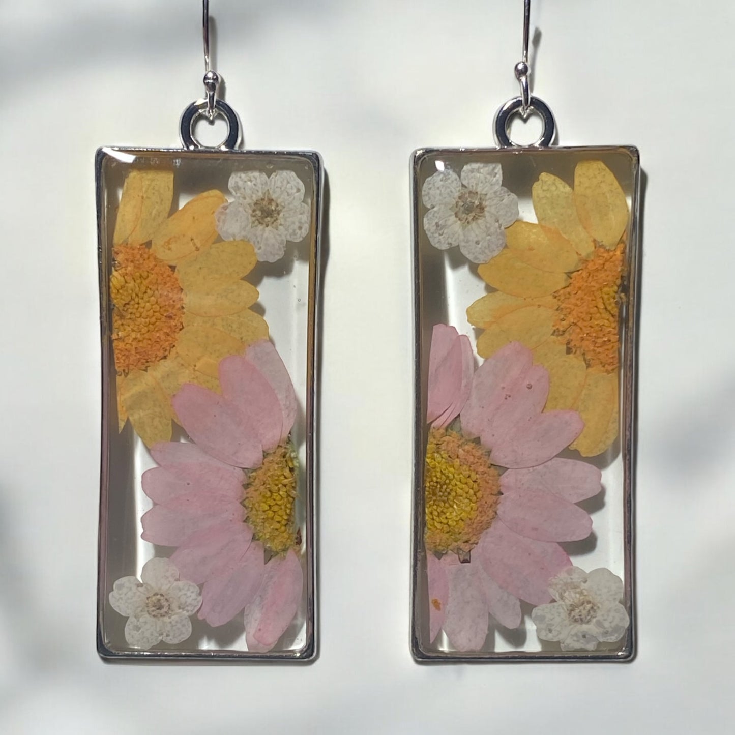 Split Orange and Pink Daisies, with White Plum Blossoms