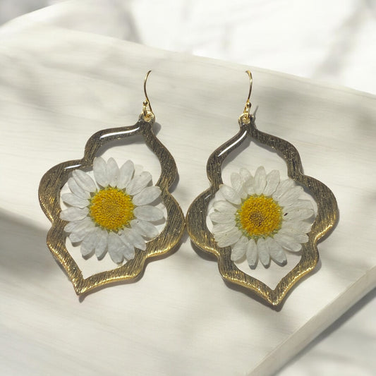 Classic Daisies