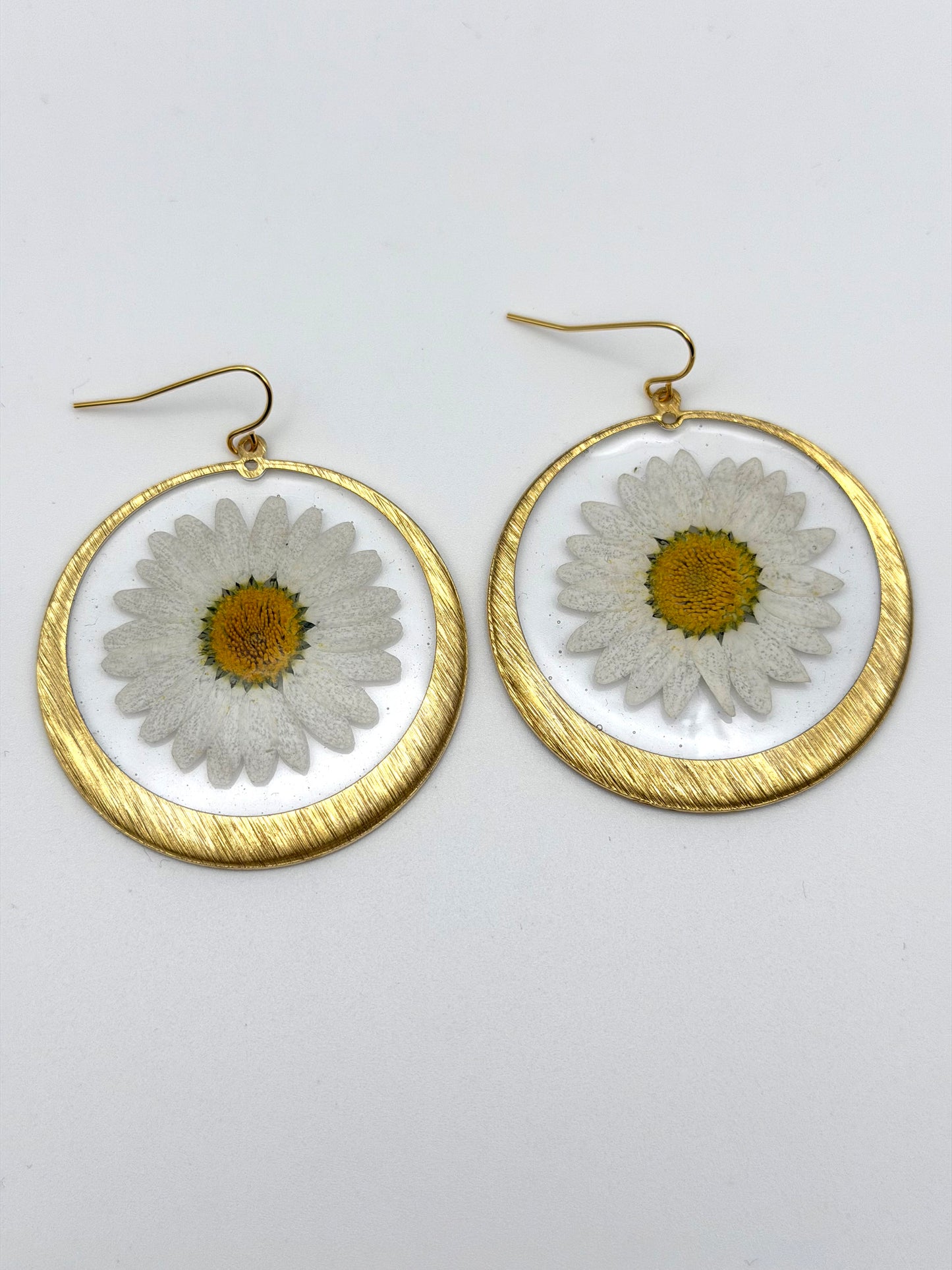Daisies