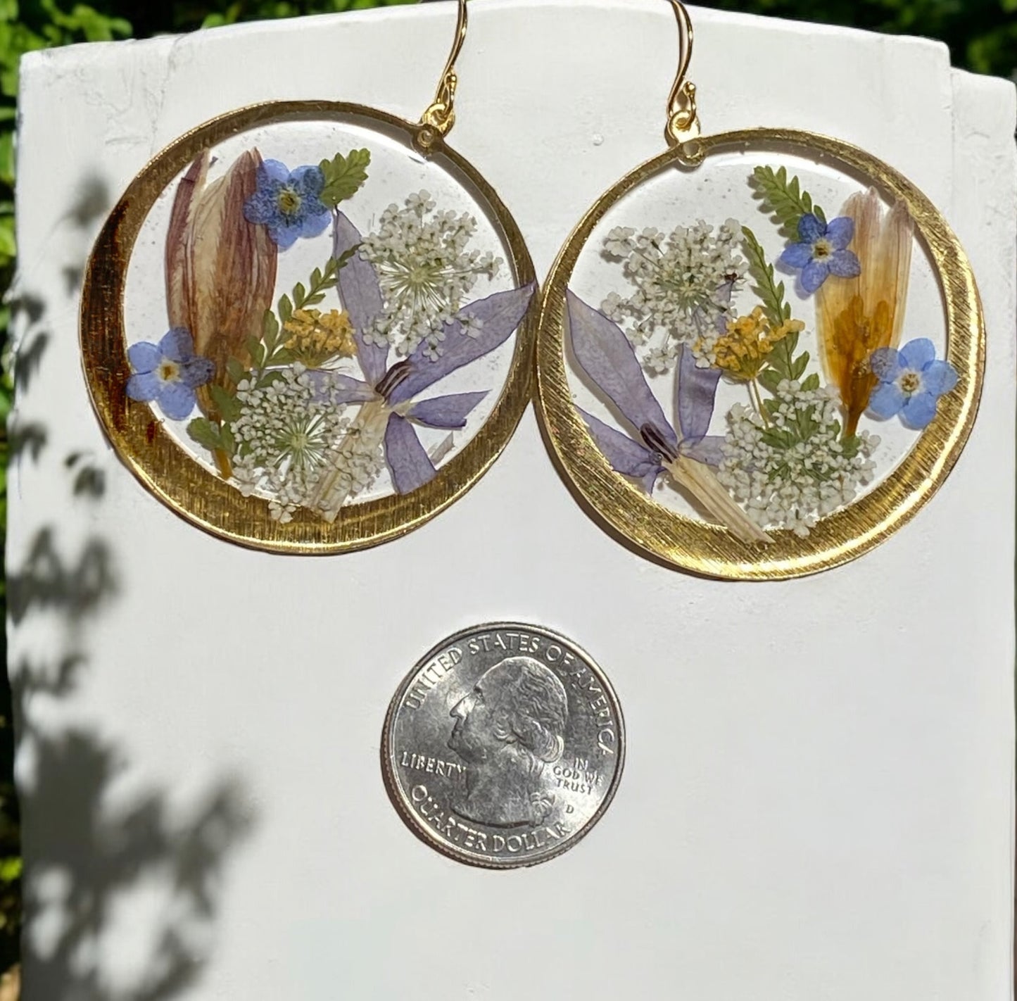 Dry Pressed Fern with Blue Forget-Me-Nots, Queen Anne’s Lace, and Eastern Blue Star