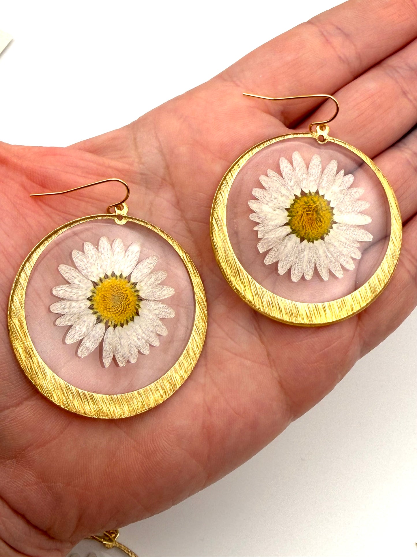 Daisies