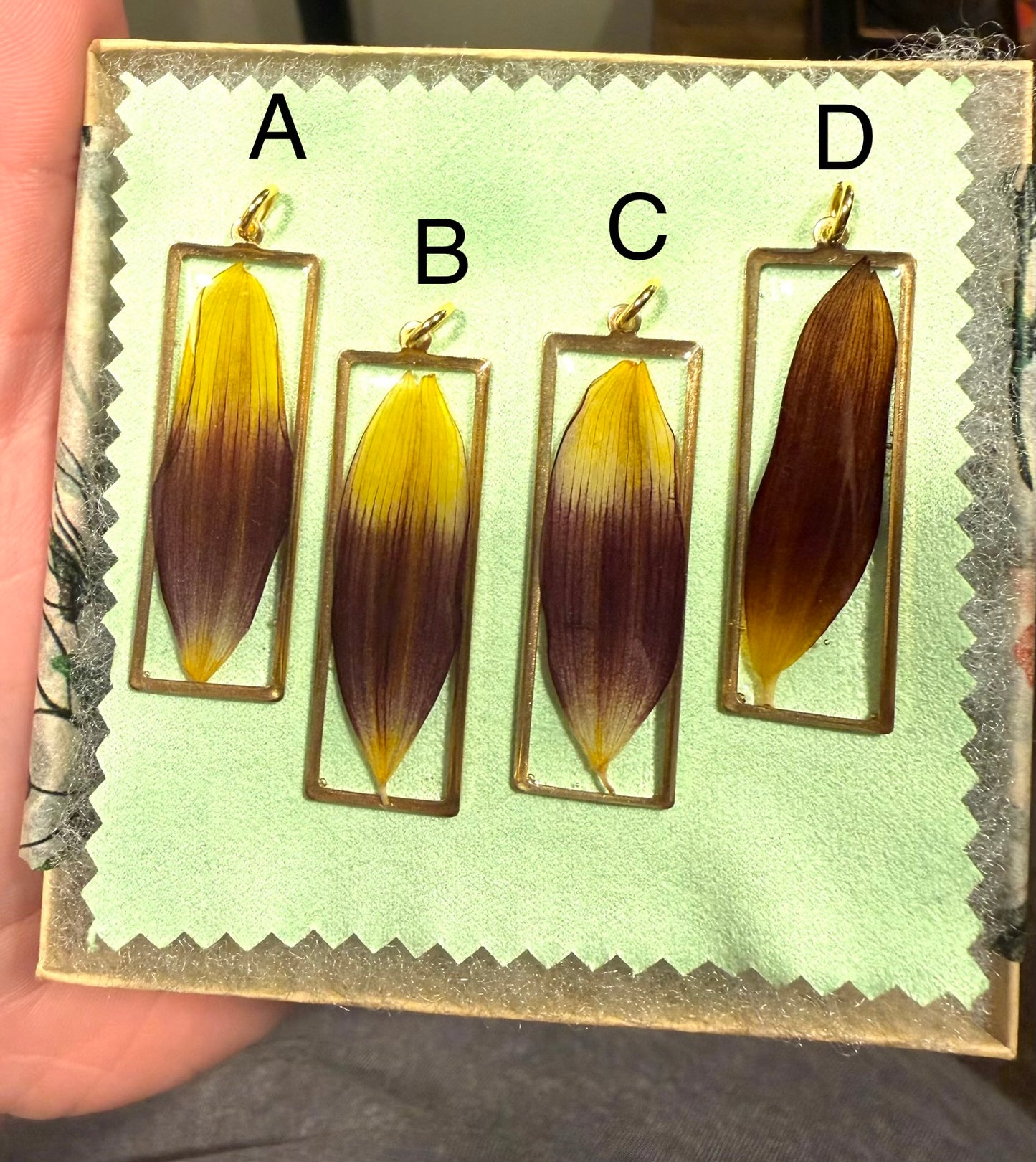 Sunflower Petals