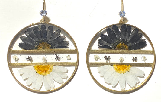 Split Black and White Daisies with pieces of White and Black Queen Anne’s Lace