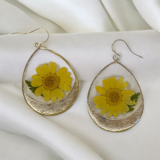 Daisies with dry pressed Fern
