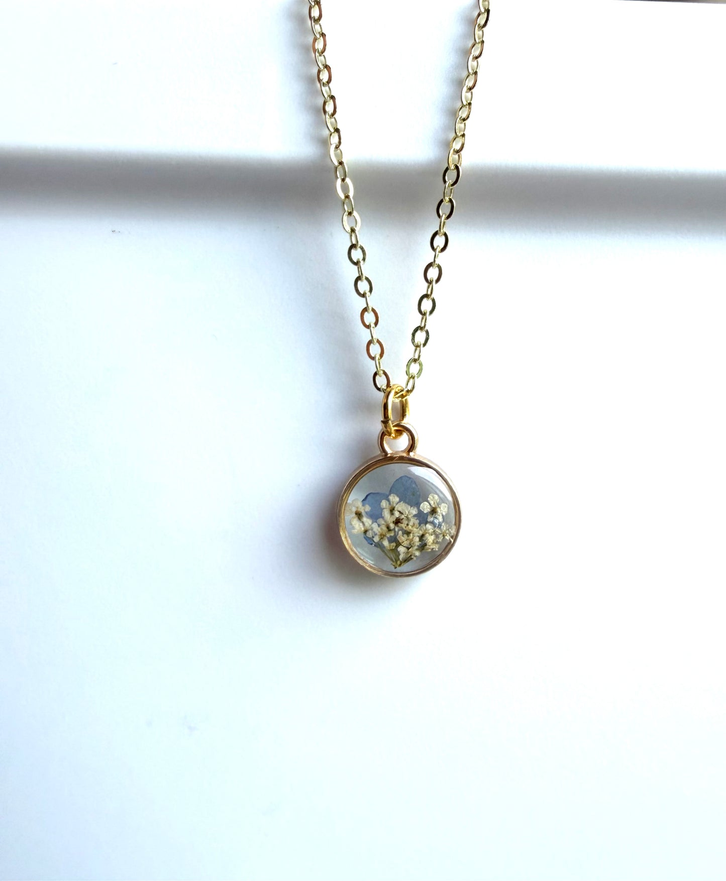 Single Forget-Me-Not with Queen Annes Lace