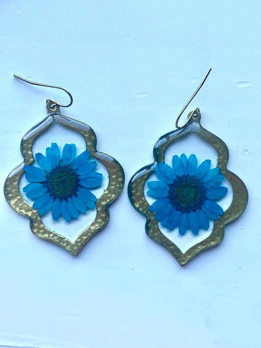 Blue Daisy
