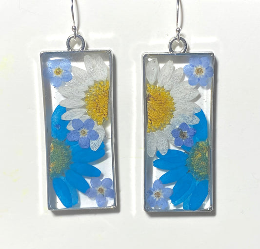 Split Blue and White Daisies with Blue Forget-Me-Nots