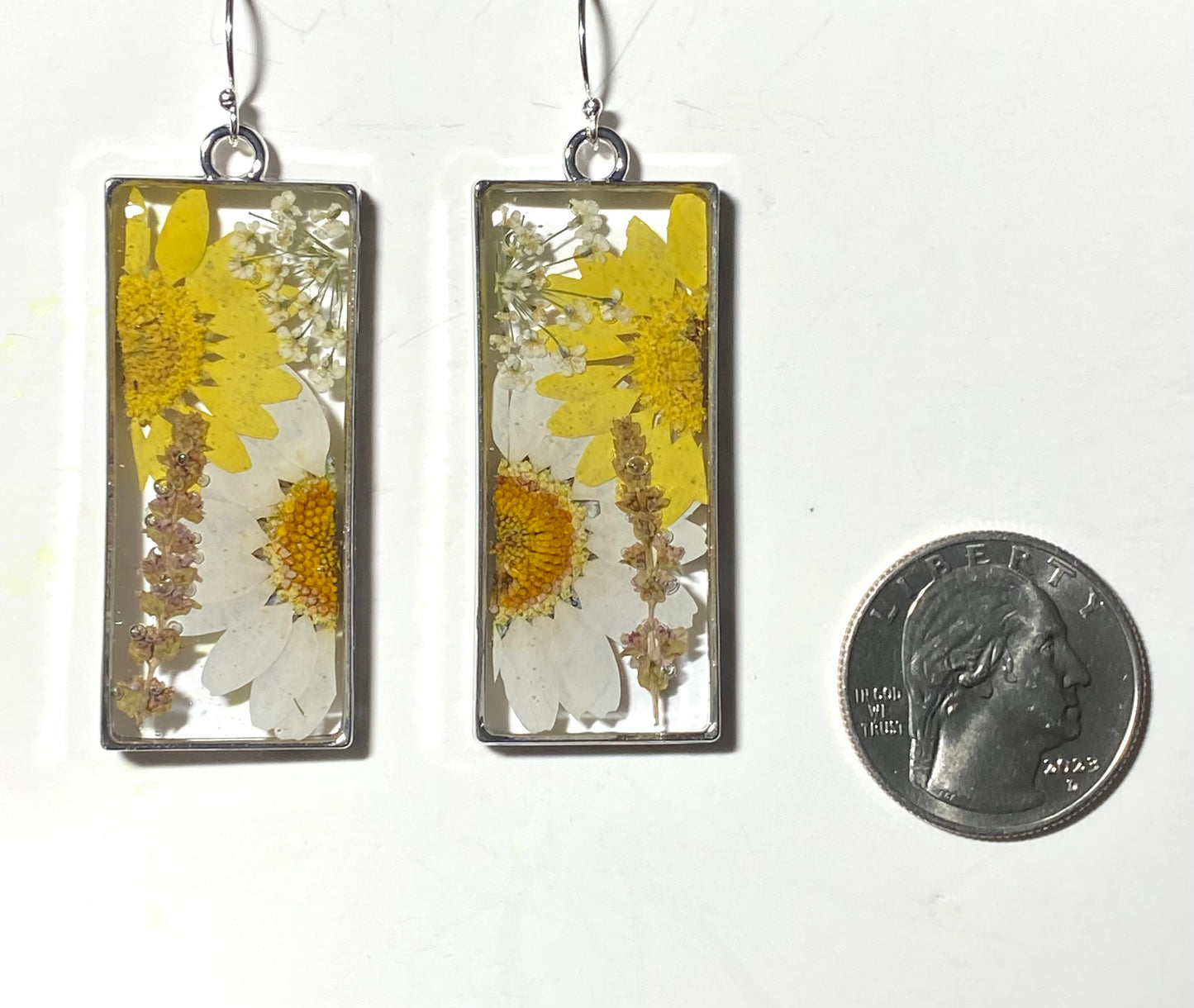Split Yellow and Orange Daisies with Queen Anne’s Lace