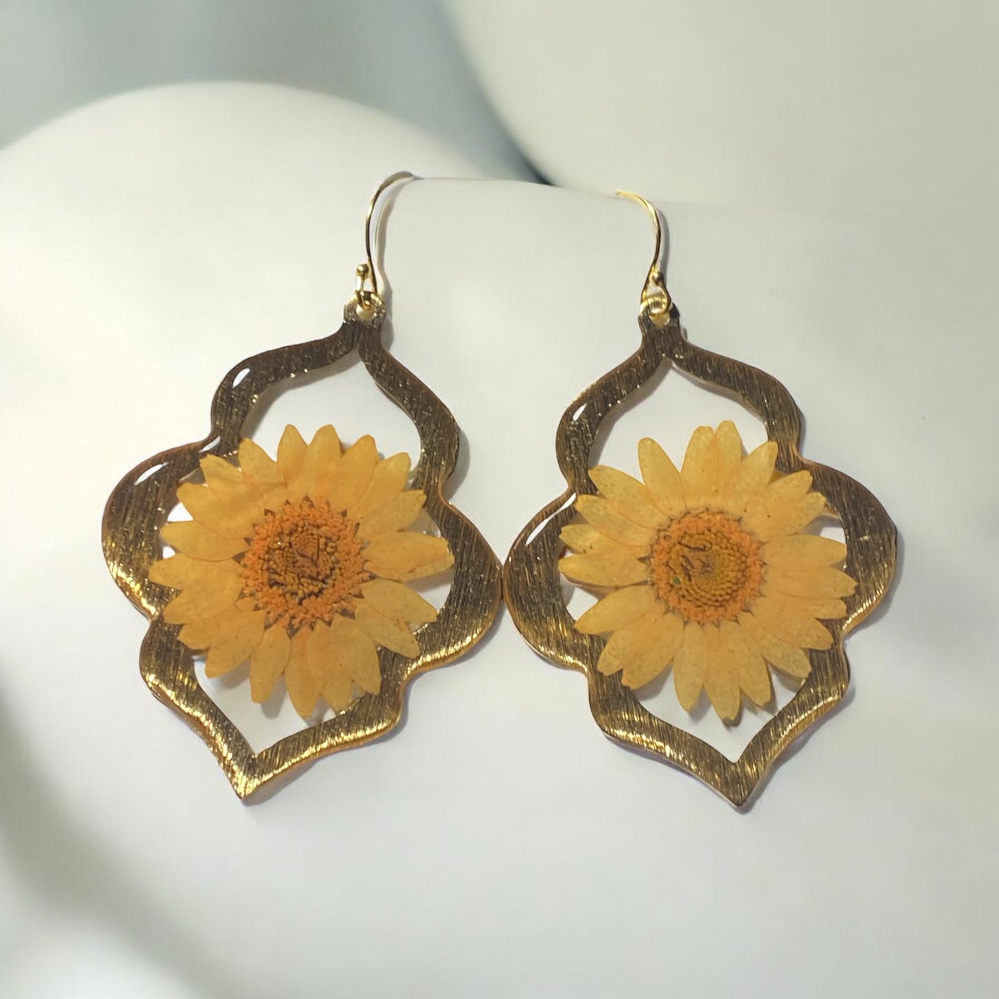 Orange Daisies