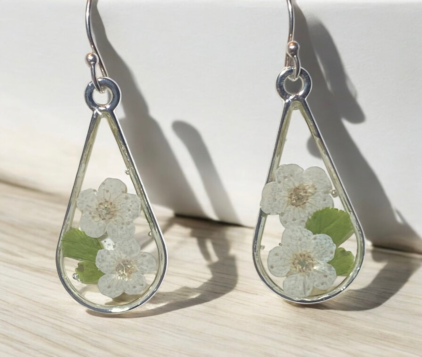 White Plum Blossoms with Green Leaves