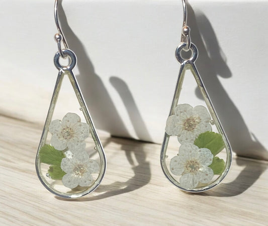 White Plum Blossoms with Green Leaves