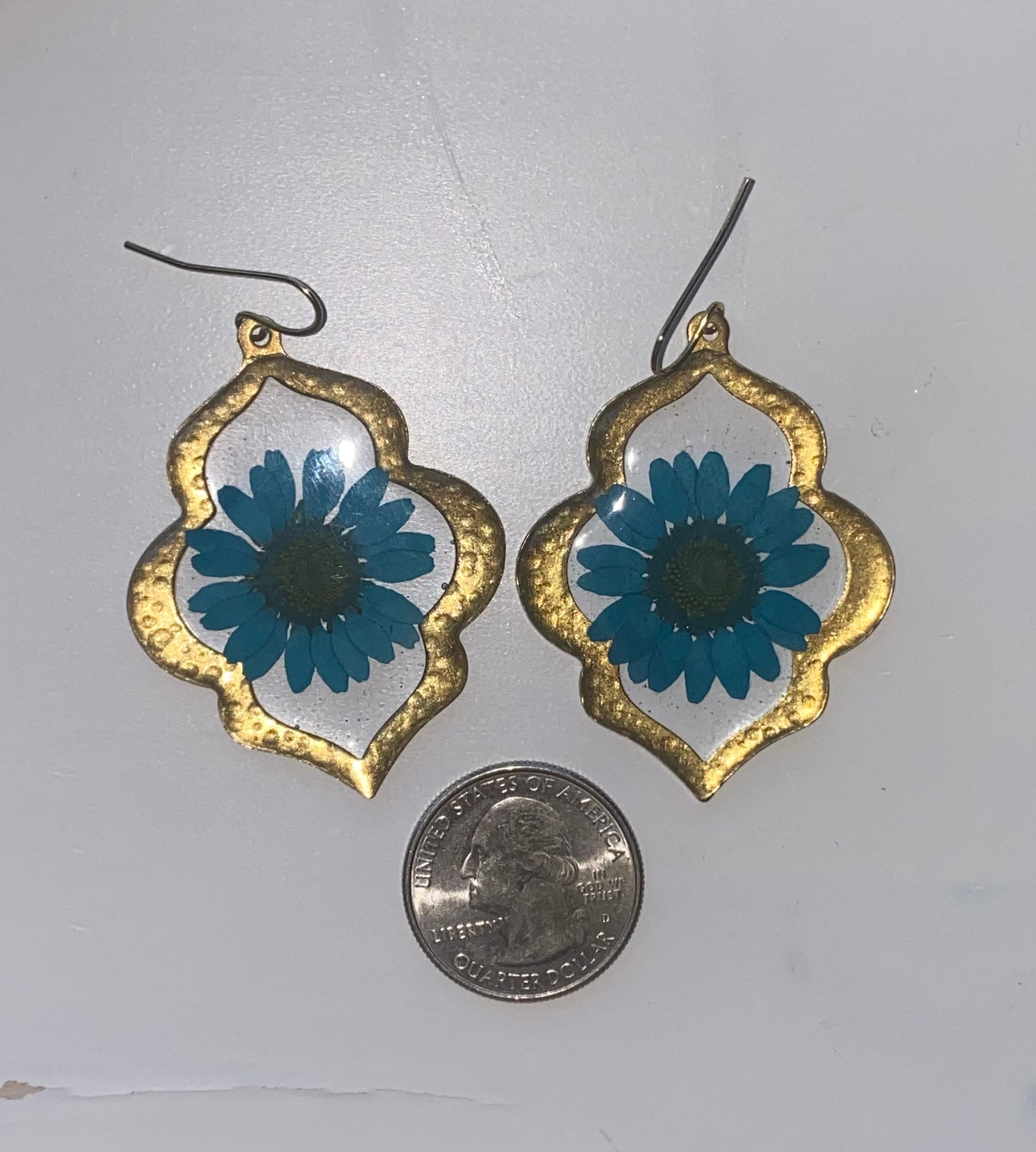 Blue Daisy