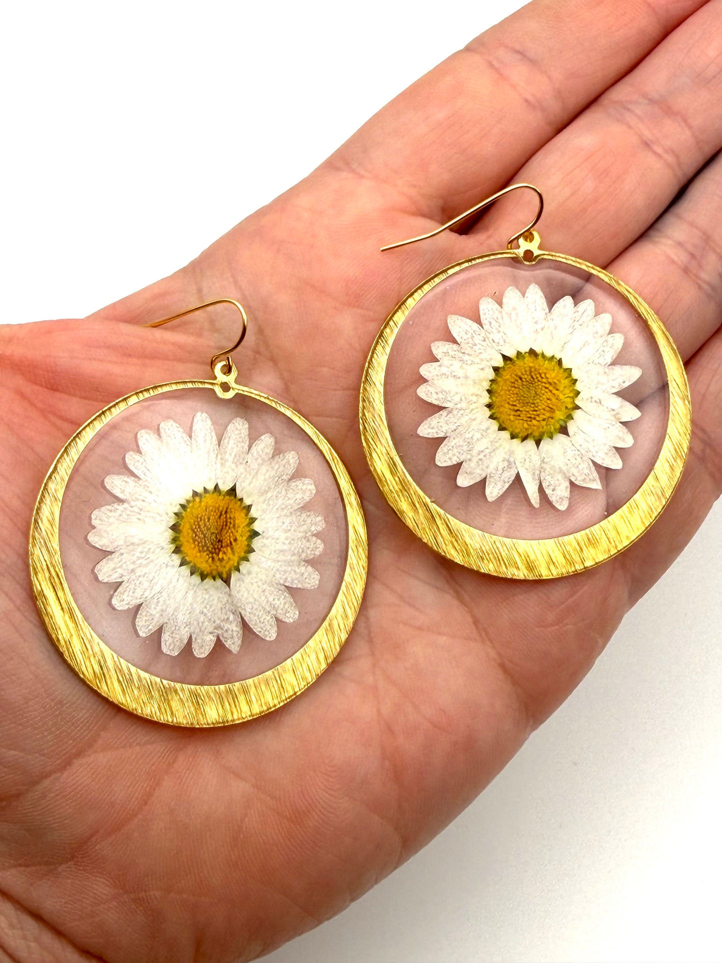 Daisies