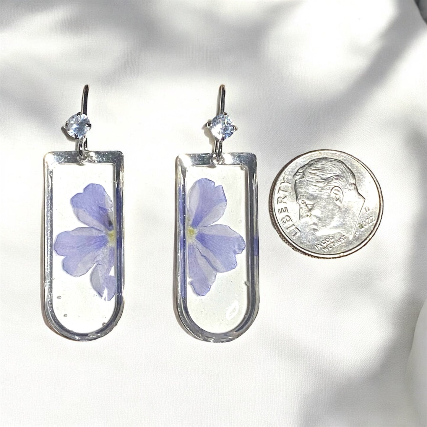 Blue Verbena
