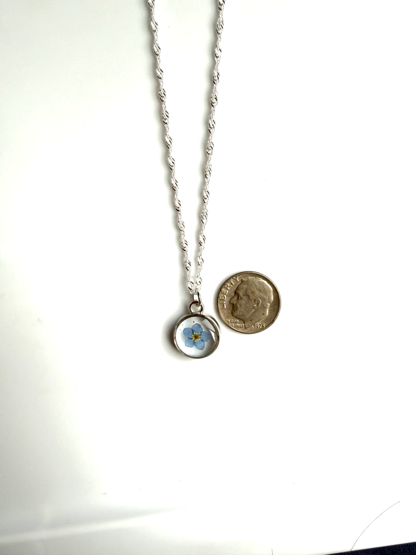 Single Forget-Me-Not