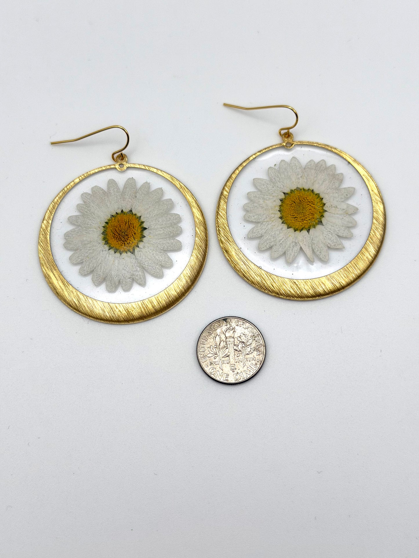Daisies