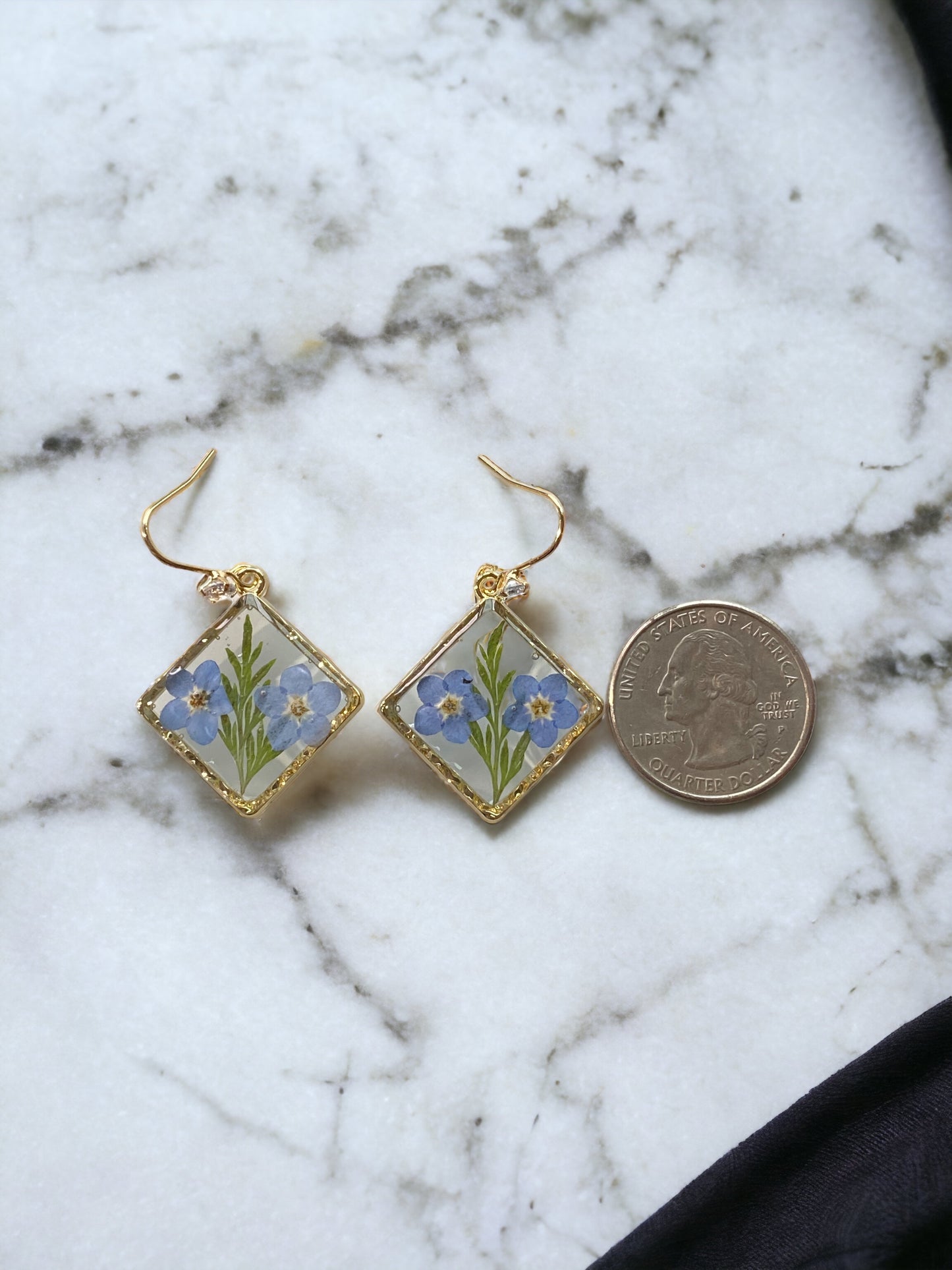 Blue Forget-Me-Not’s with Dry Pressed Leaves