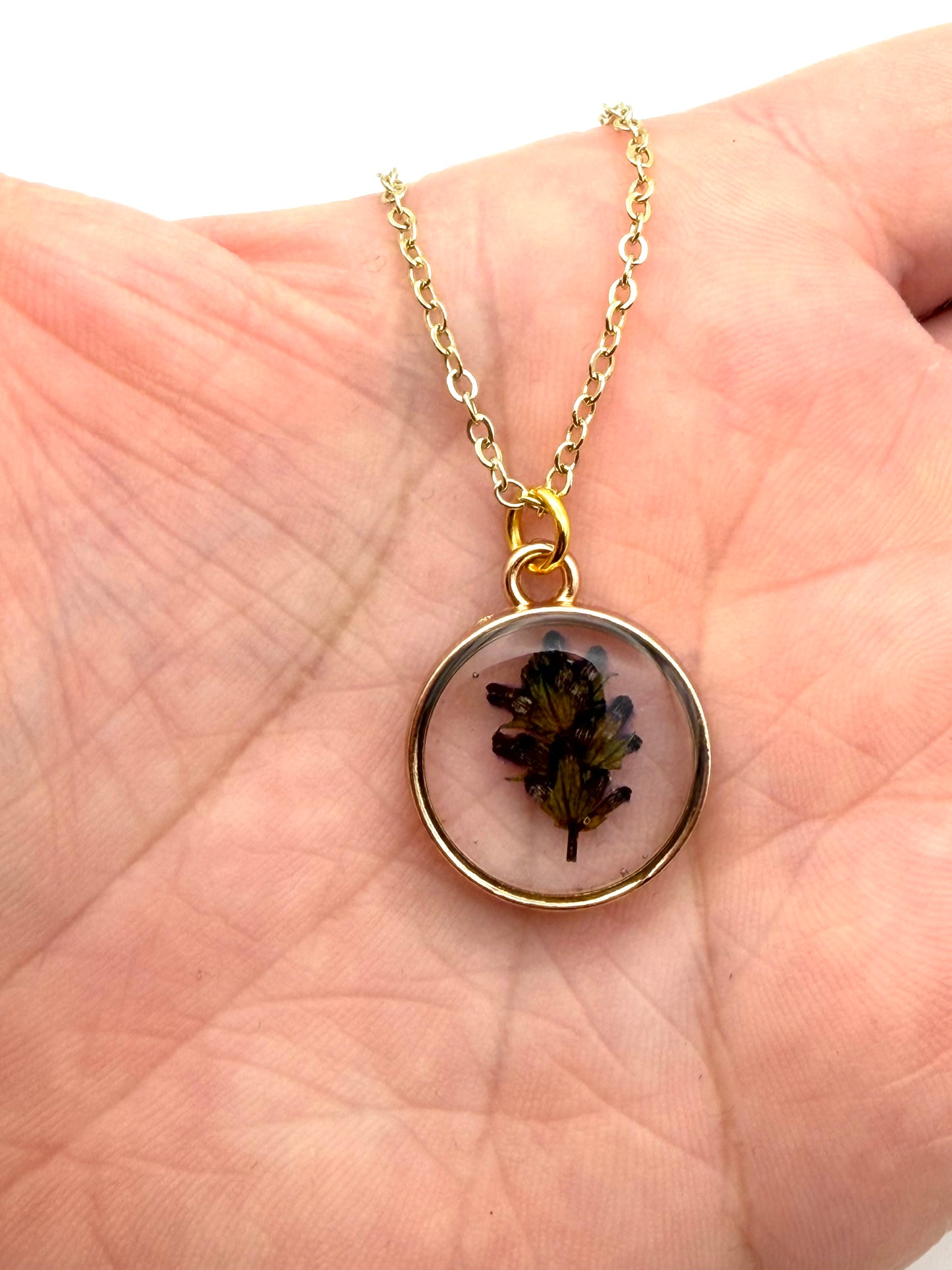 Pressed Lavender