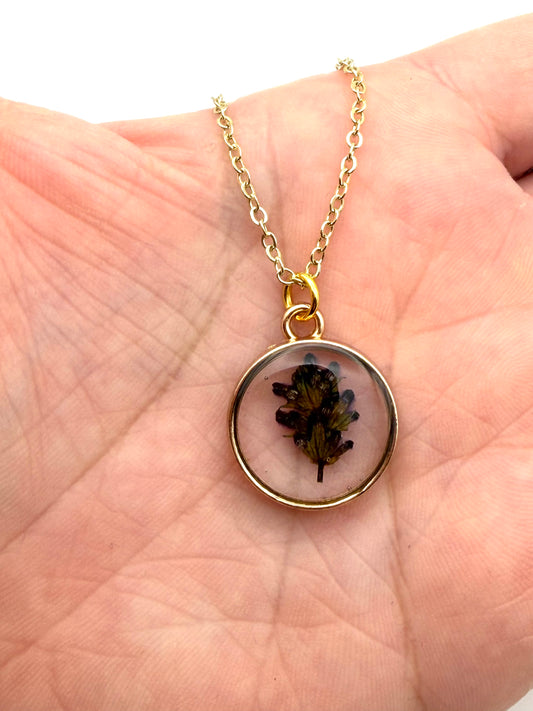Pressed Lavender