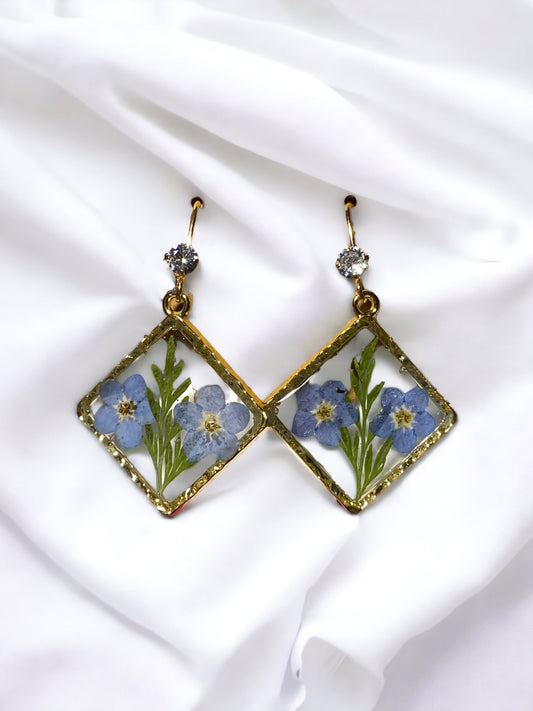 Blue Forget-Me-Not’s with Dry Pressed Leaves