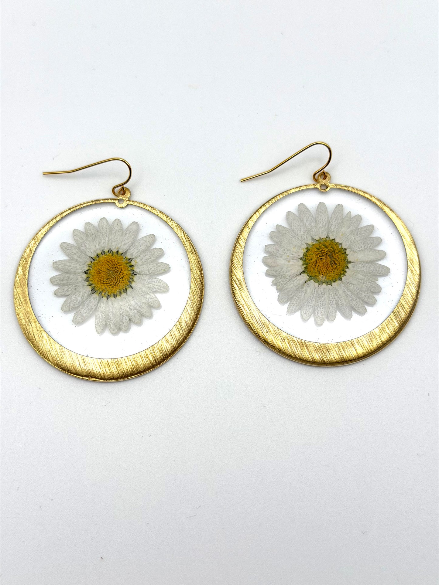Daisies