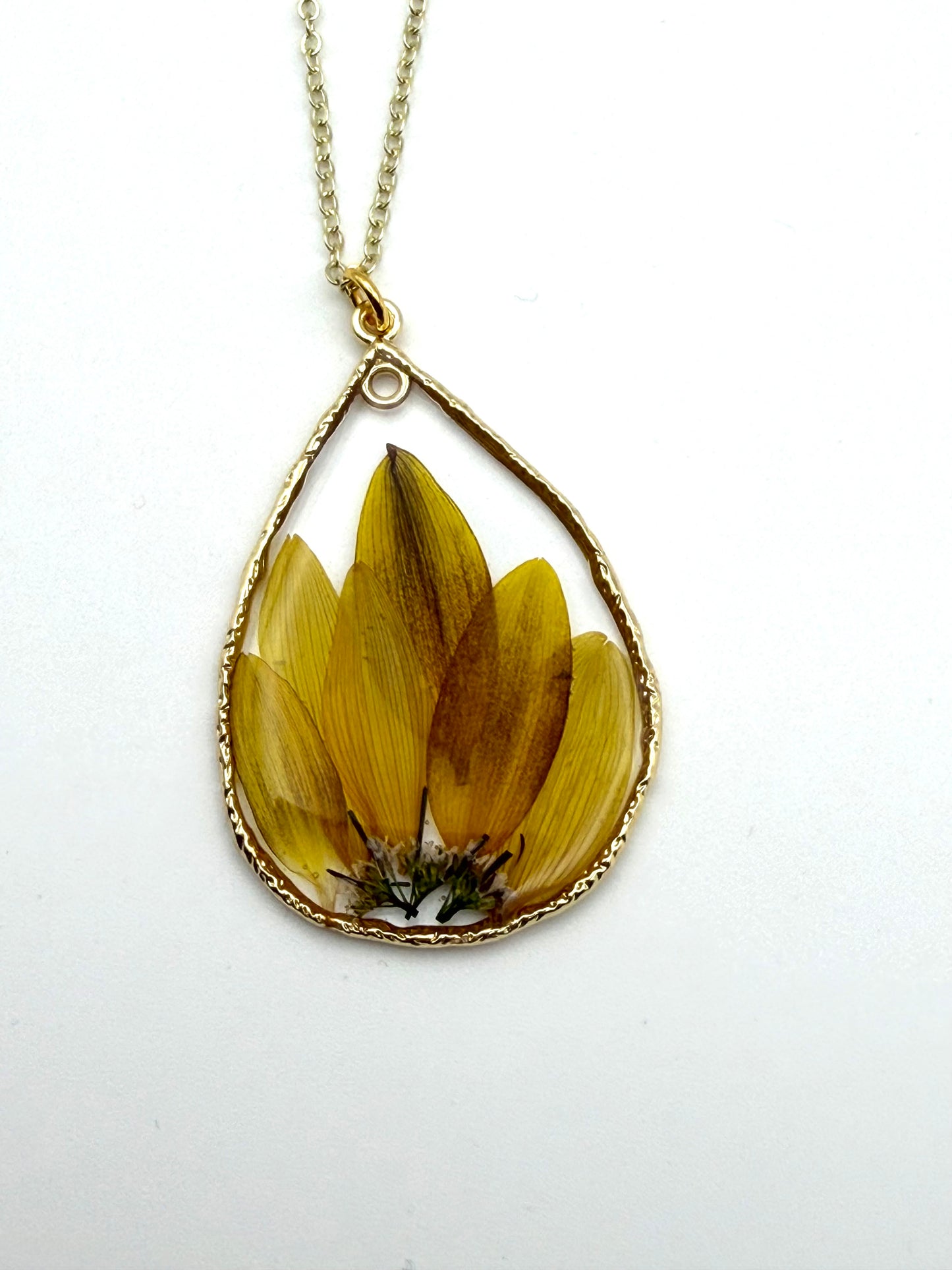 Sunflower Petals with Wild Flower
