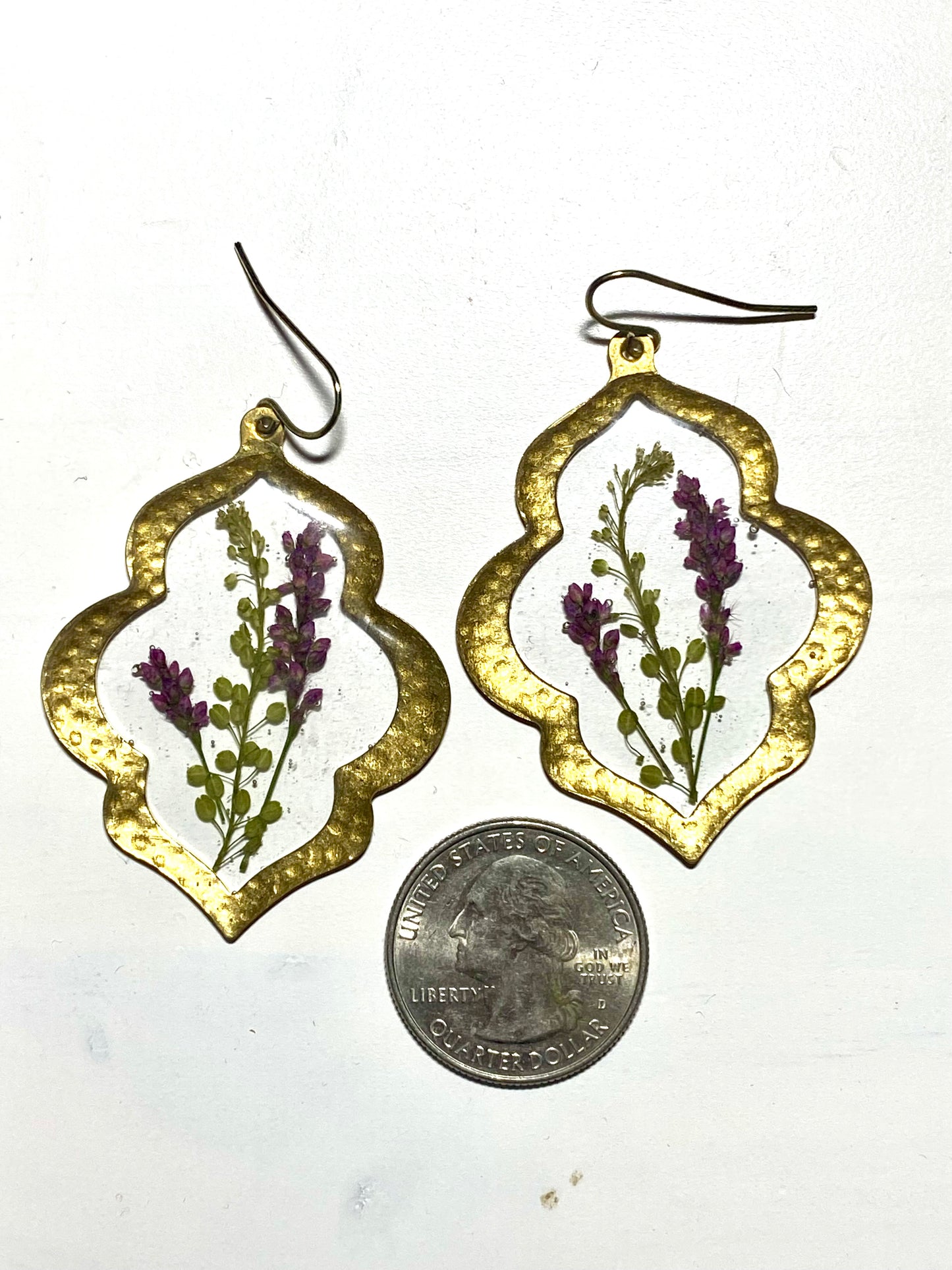 Snakeweed and Pepperweed