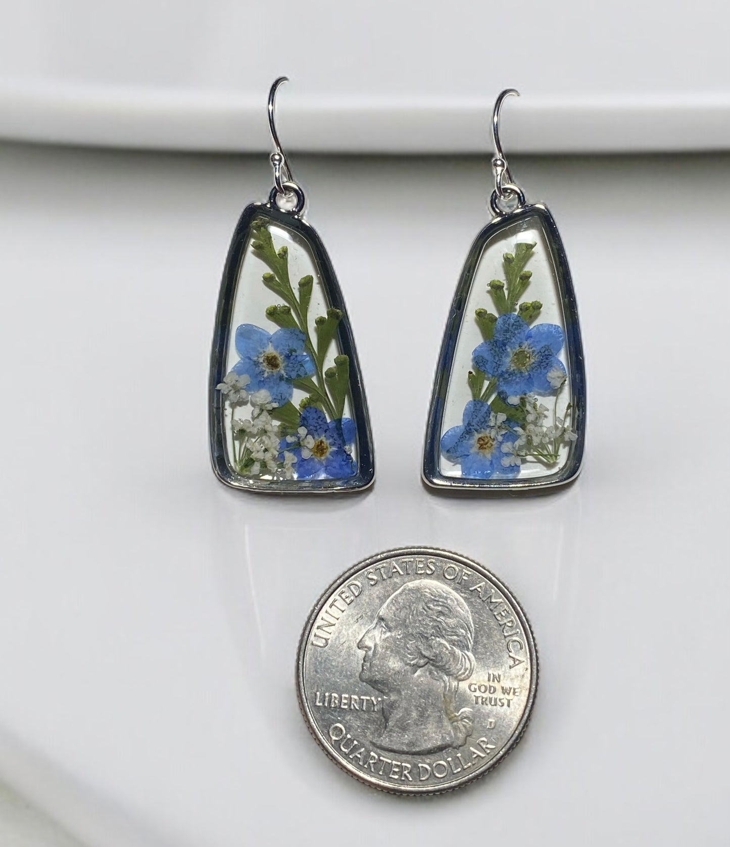 Blue Forget-Me-Not Flowers with Queen Anne’s Lace and Dry Pressed Leaves