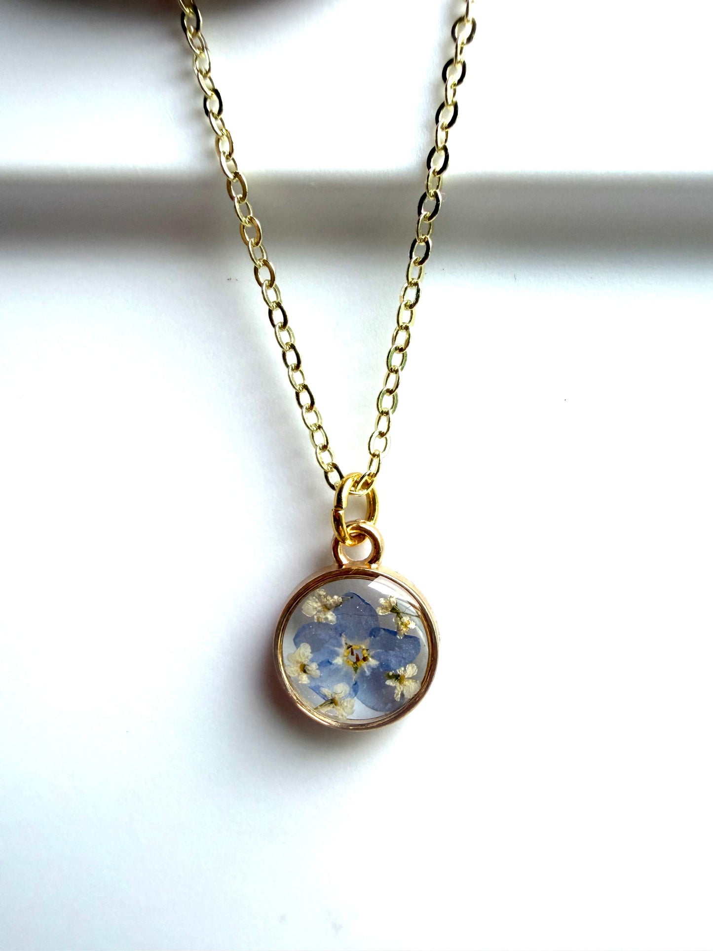 Single Forget-Me-Not with Pieces of Queen Annes Lace