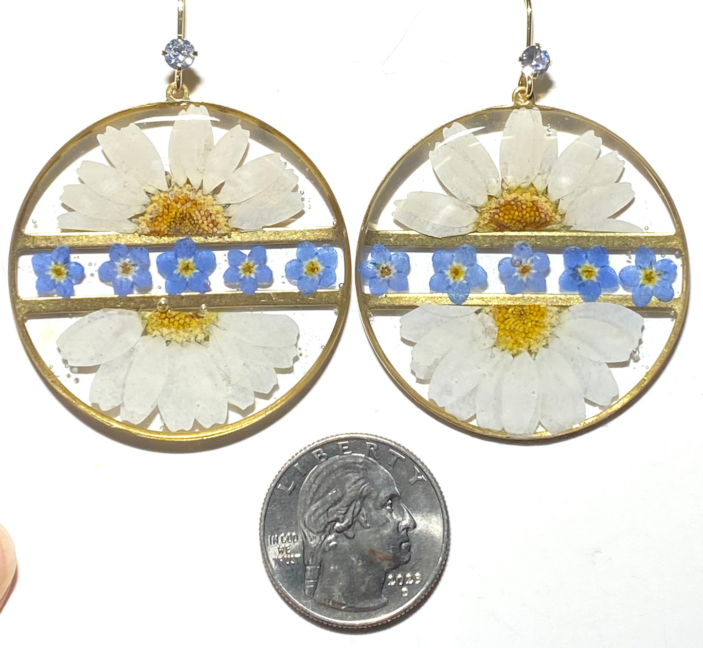Split Daisies with Blue Forget-Me-Nots